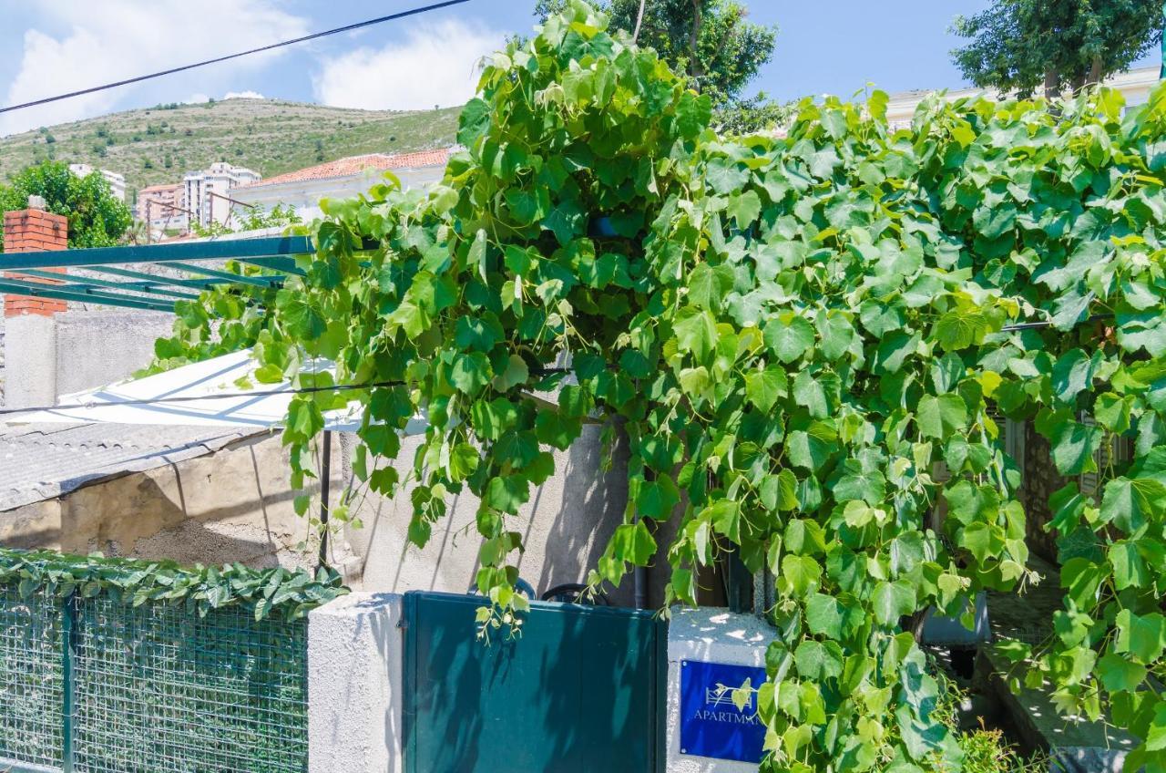 Apartment Adea Dubrovnik Eksteriør billede